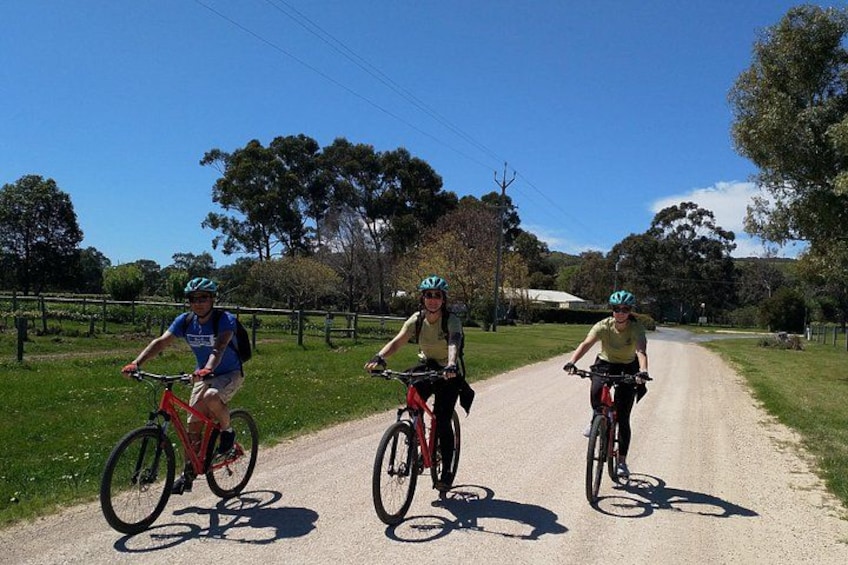 McLaren Vale Wine Tour by E-Bike (Private & Small Group) 4