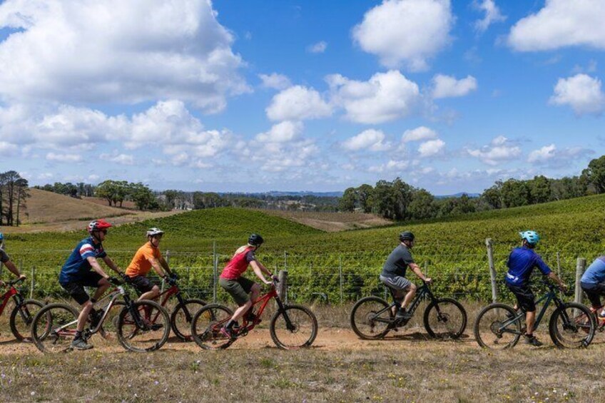 McLaren Vale Wine Tour by E-Bike (Private & Small Group) 1