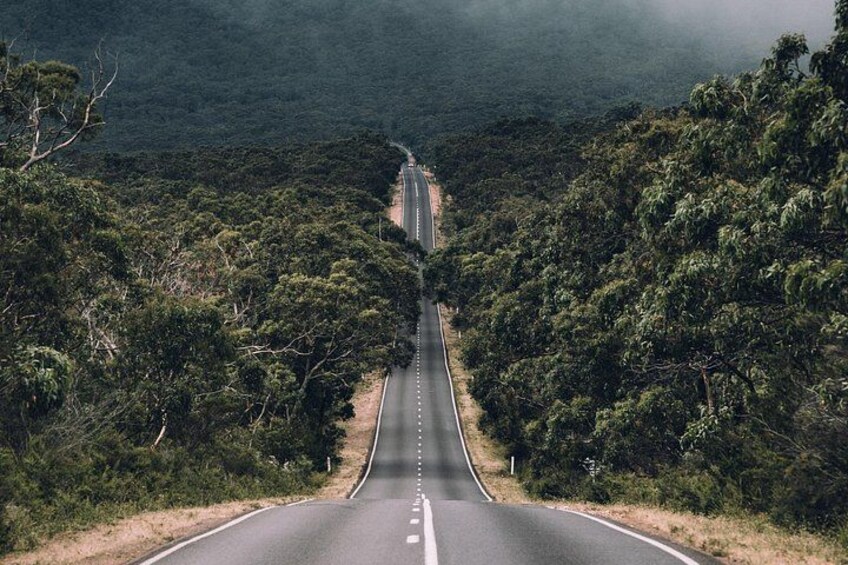 The Grampians National Park 2