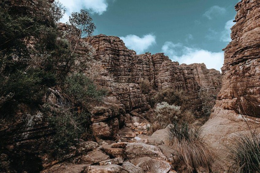 Natural, unpaved path 3