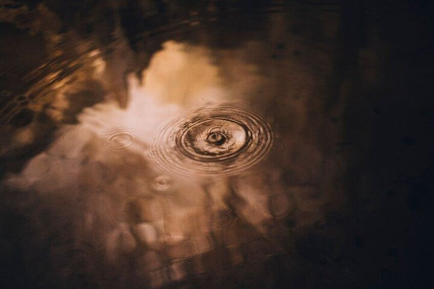 Une surface d'eau parcourue d'ondulations concentriques. 2