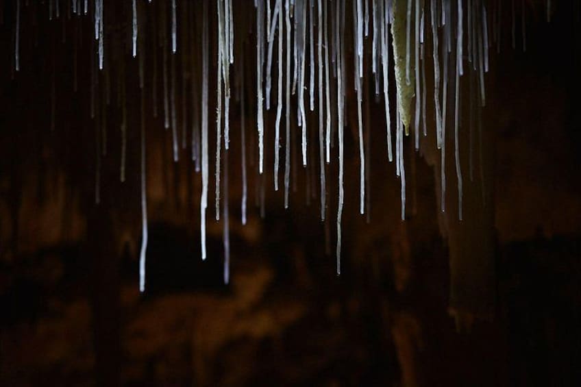 Lake Cave Fully Guided Tour 2
