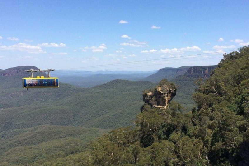 PRIVATE Blue Mountains Tour, Wildlife Park and River Cruise 3