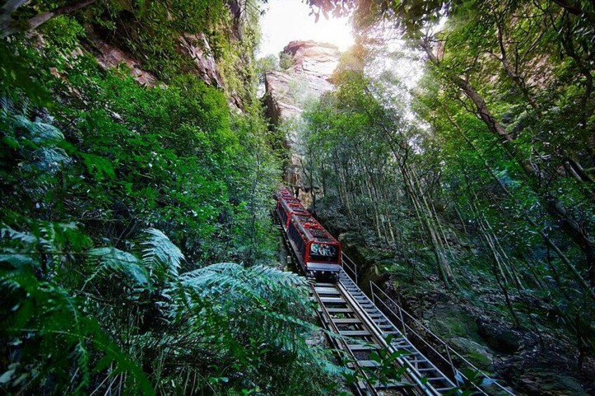 Scenic Railway 5