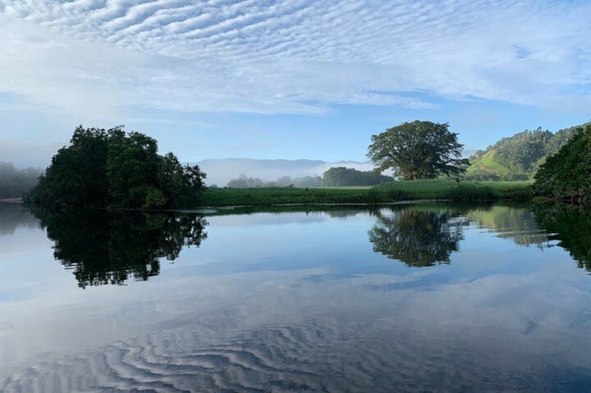 Daintree River Reflections by Murray Hunt 3