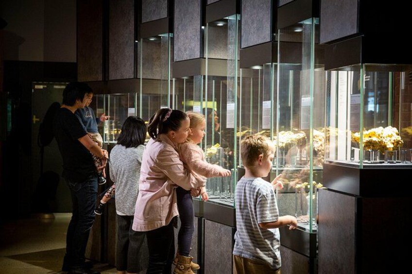 Menschen betrachten Blumen in einer Glasvitrine. 1