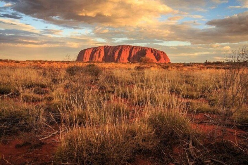Alice Springs to Uluru (Ayers Rock) Coach Transfer 2
