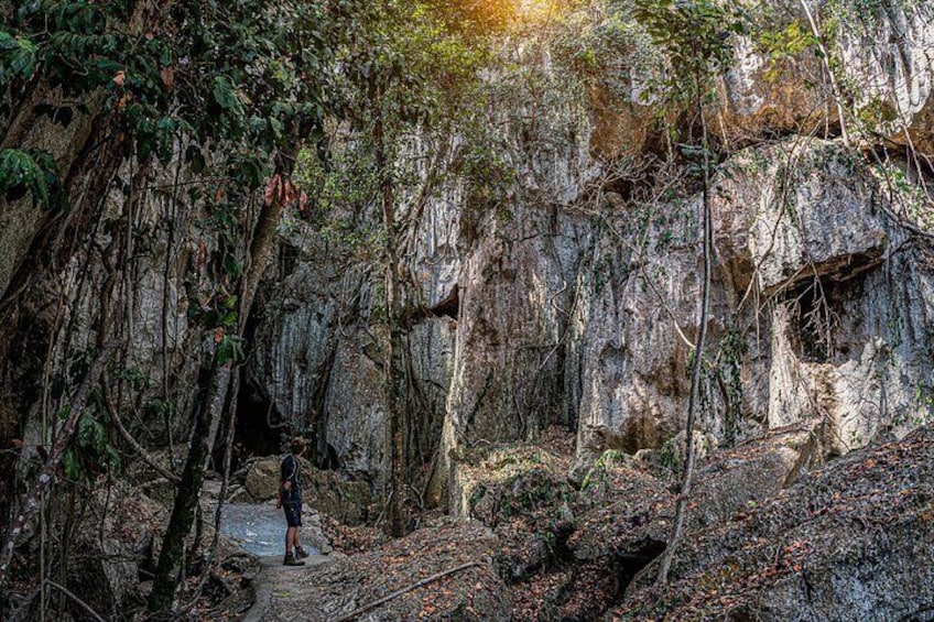 Capricorn Caves Cathedral Cave Tour 2