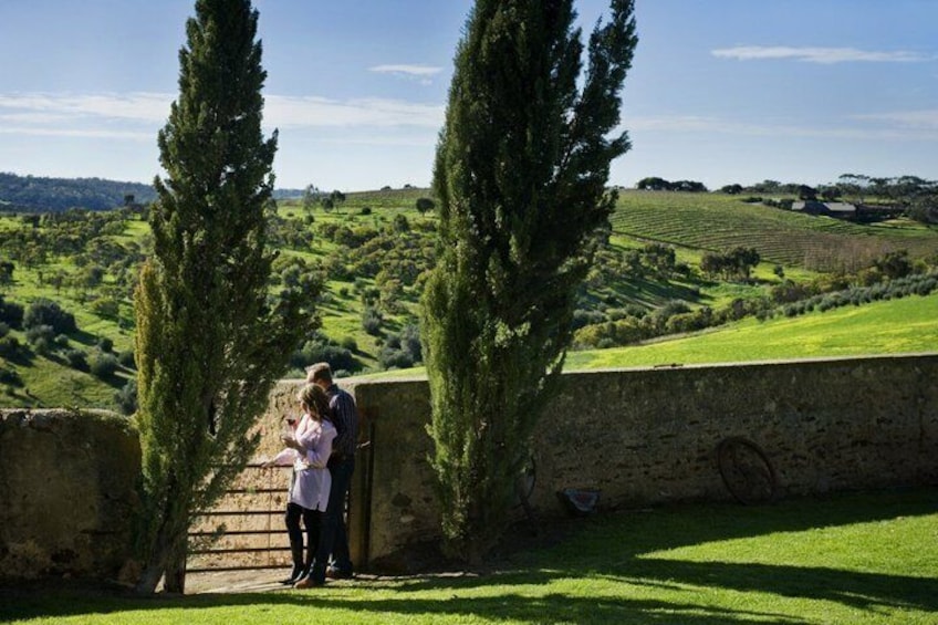 McLaren Vale Wine Tour, Max 6, Chef's menu lunch, from Adelaide 2