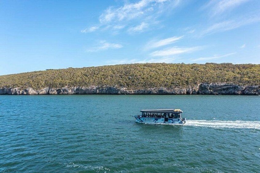 Cruise the calm waters of Coffin Bay 2