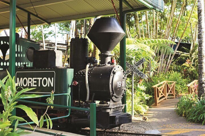 Una locomotora de vapor antigua llamada Moreton en una estación de tren rodeada de abundante vegetación. 5
