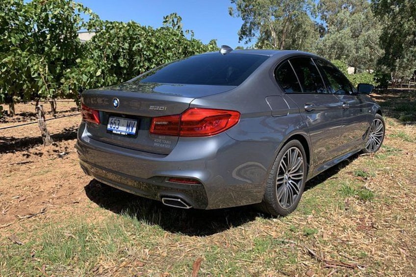 Une BMW 530i argentée est garée dans un espace verdoyant, avec des arbres en arrière-plan. 5