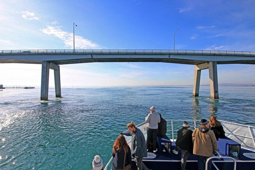 Cruise under the Phillip Island Bridge 2