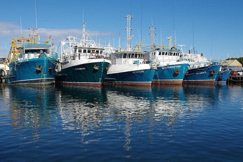 Fremantle 5