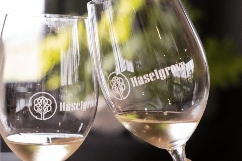Adelaide Highlights, Hahndorf & McLaren Vale Wine Tasting and Sightseeing Tour 3