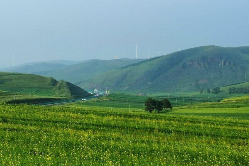 Zhangbei Bashang Grassland 2