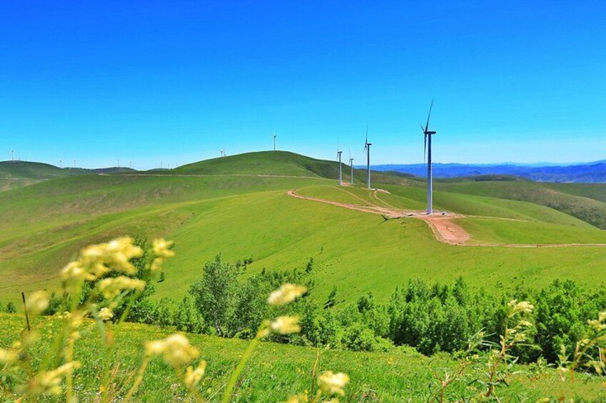 A landscape with wind turbines on a green hill. 2
