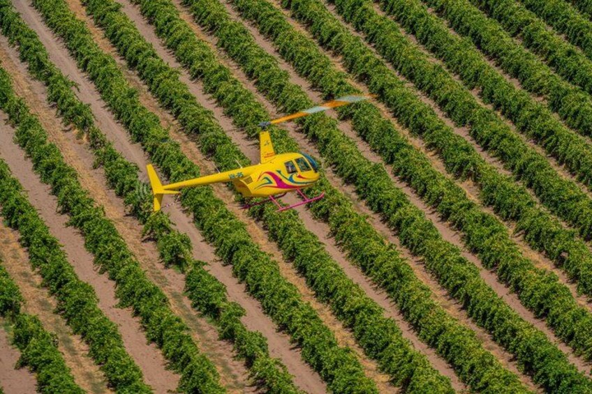 Private Barossa Valley Helicopter Flight: Jacob's Creek & Lyndoch 3