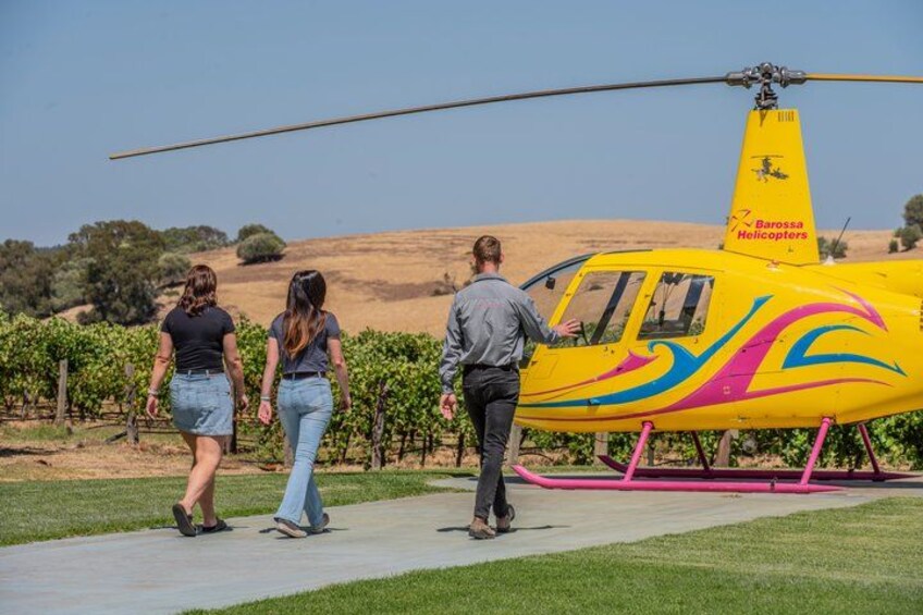 Private Barossa Valley Helicopter Flight: Jacob's Creek & Lyndoch 5