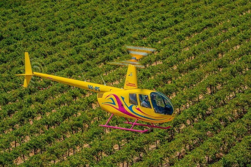 Un helicóptero amarillo con detalles rosa y azul sobrevolando un viñedo. 2
