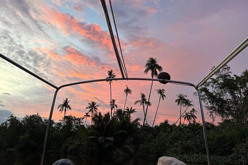 A sunset sky with palm trees. 2