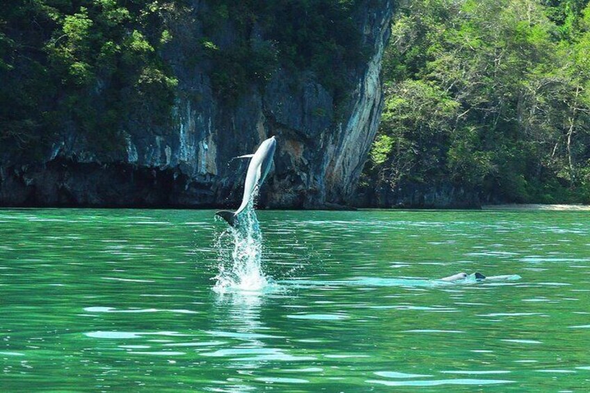 Mangrove River Cruise on Langkawi