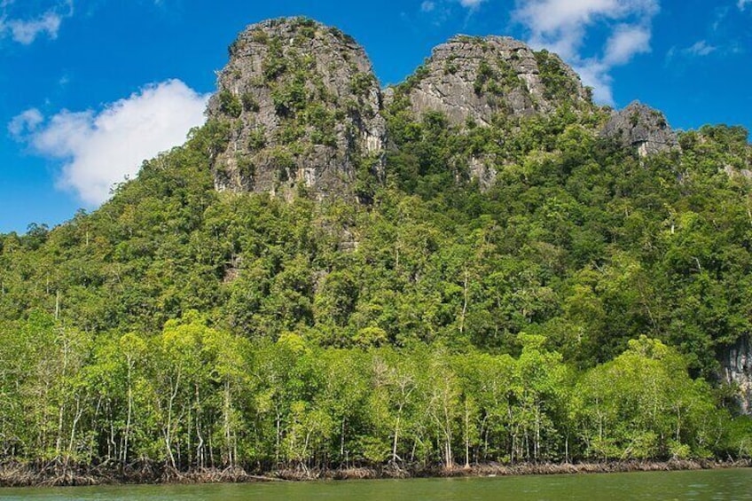 A Mangrove River Cruise on Langkawi