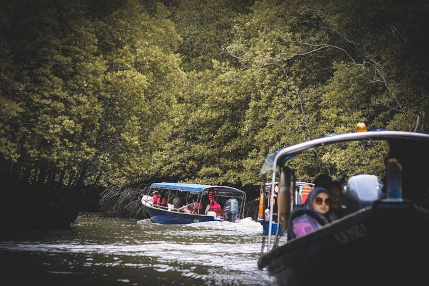 A boat with passengers, a blue canopy, and a forested riverbank. 3