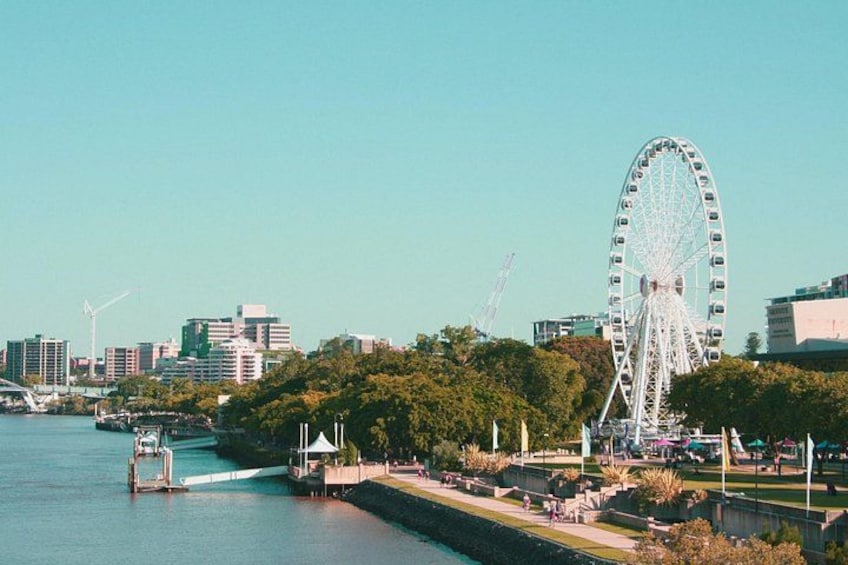 Brisbane Like a Local Customized Private Tour 5