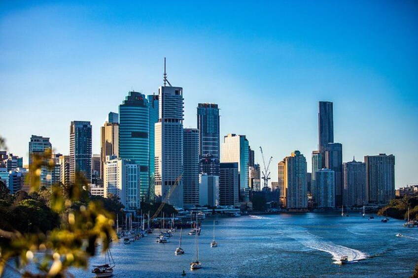 Brisbane Like a Local Customized Private Tour 3