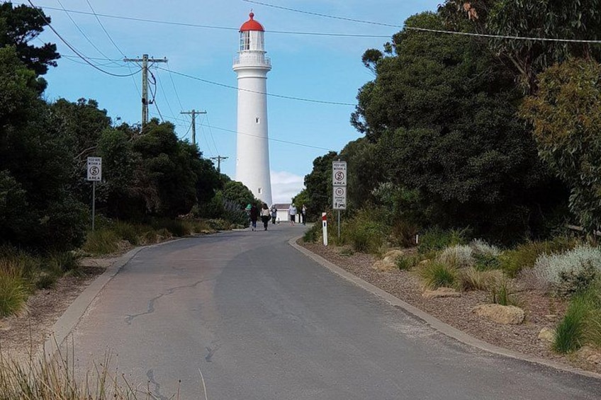 Surf Coast and Livewire Tour 5