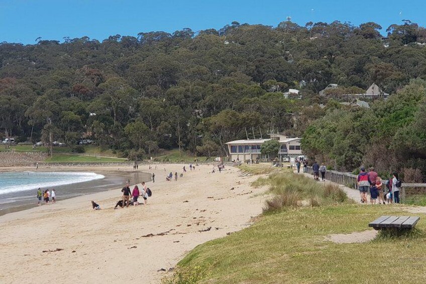 Surf Coast and Livewire Tour 2