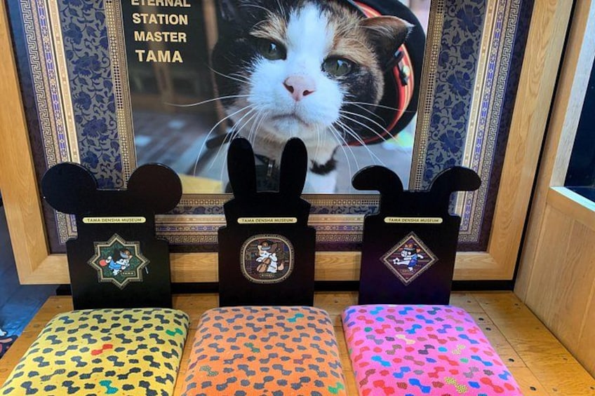A framed picture of a cat with a Mickey Mouse head, three Mickey Mouse ears, and three cushions with colorful patterns. 2