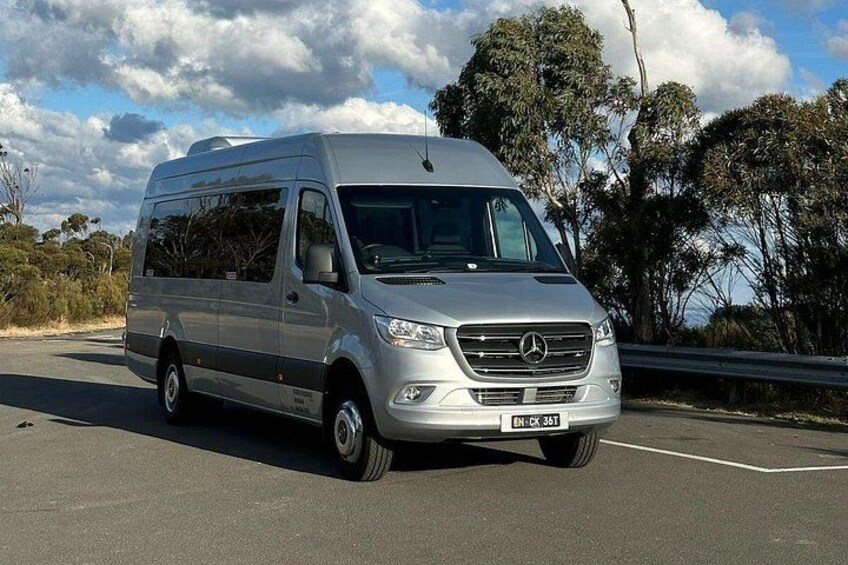 Luxury Mini Van 3