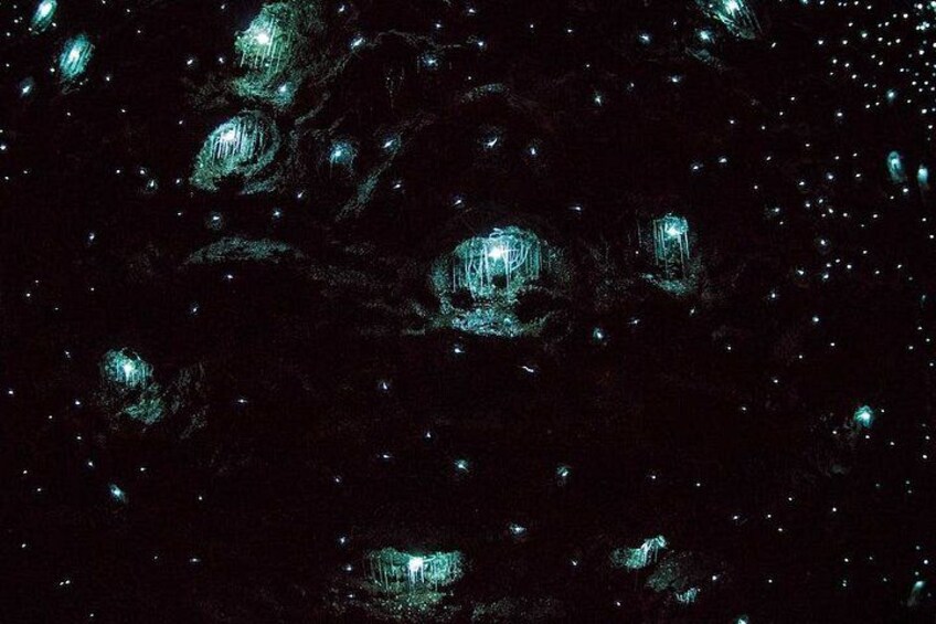 Glow Worn Caves | Pineapple Tours 4
