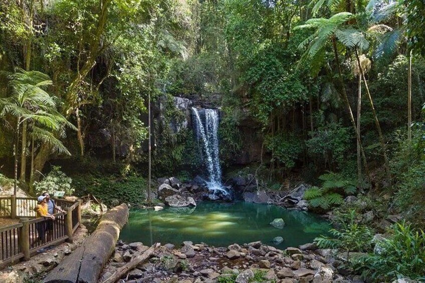 Gold Coast: HOHO - Tamborine Rainforest Skywalk + Glow Worm Caves 2