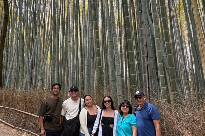 Kyoto Customized Private Tour in 1 Day with Licensed Guide 2