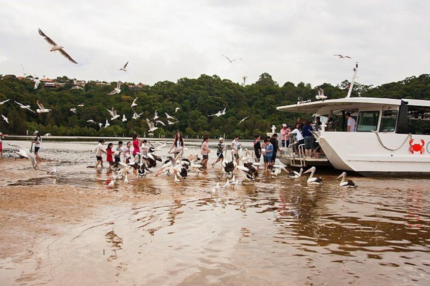 Un bote con gente a bordo, un grupo de personas en la orilla y gaviotas volando. 3