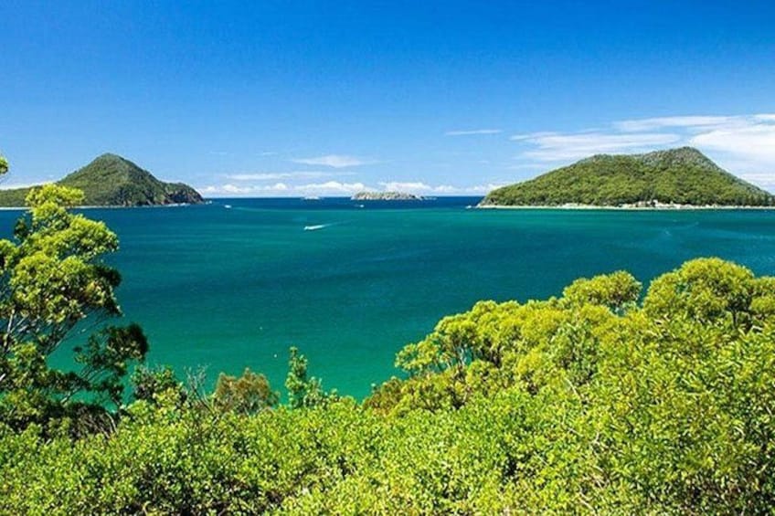 Dolphin Watching & Sandboarding | Port Stephens Tour from Sydney 5