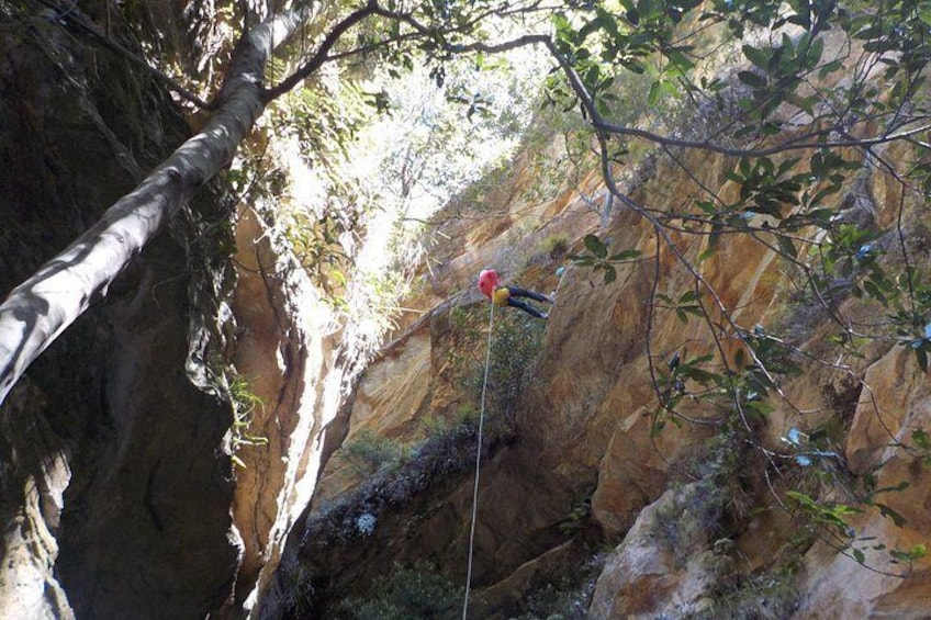 Juggler Canyon and Abseiling Adventure Blue Mountains 4