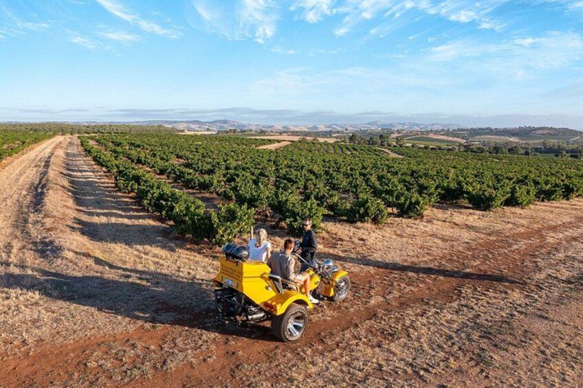 A vineyard with rows of grapevines and a yellow vehicle parked on a dirt path. 3