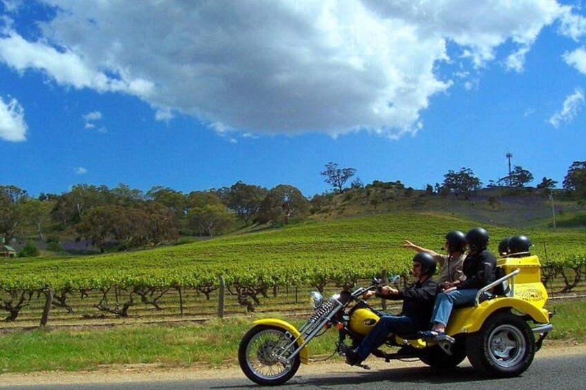 A yellow motorcycle with two passengers, a vineyard in the background, and a clear sky. 5