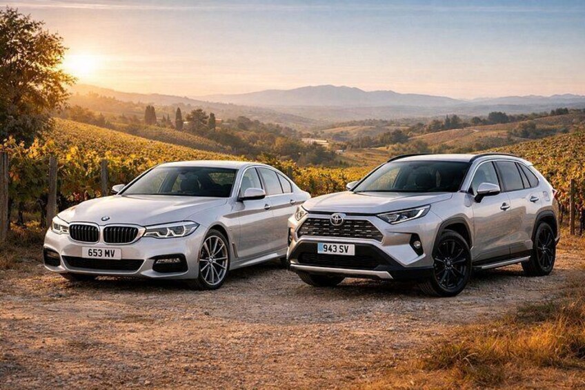 The Best Wine Tours - tour cars 2