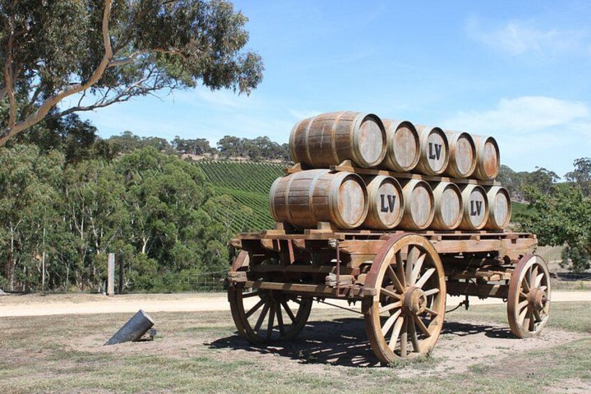 Private Adelaide Hills Wine Region Tour 4