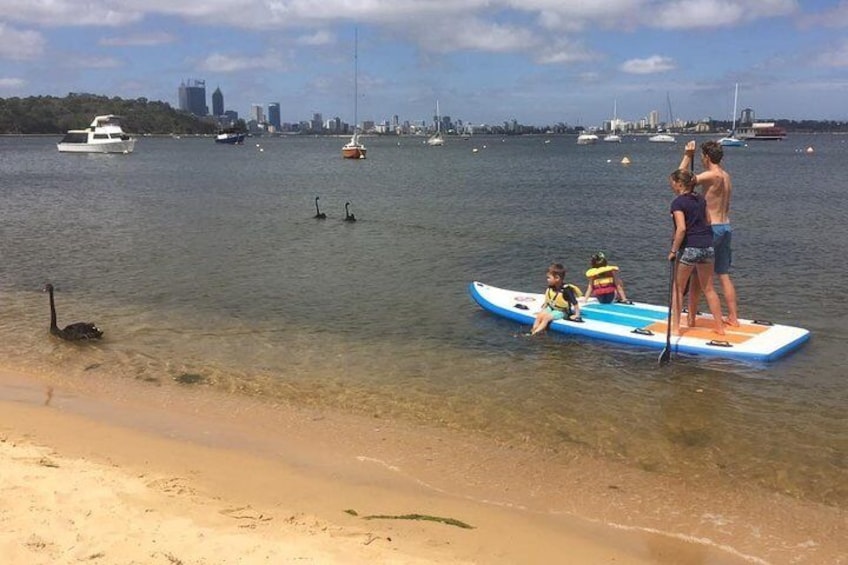 Stand Up Paddle Boarding - 2 Person Lesson - 1 Hour