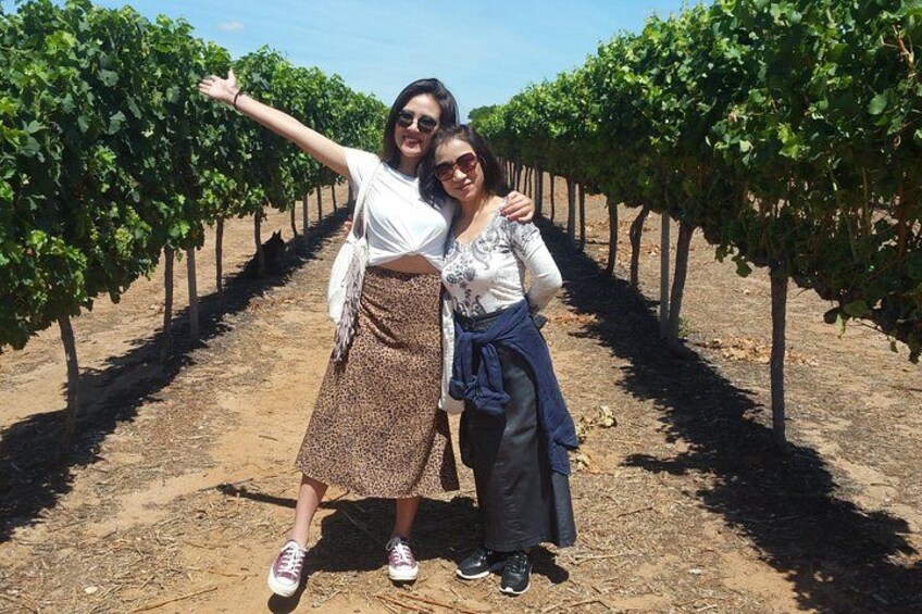 Deux personnes dans un vignoble, au milieu de rangées de vignes. 2