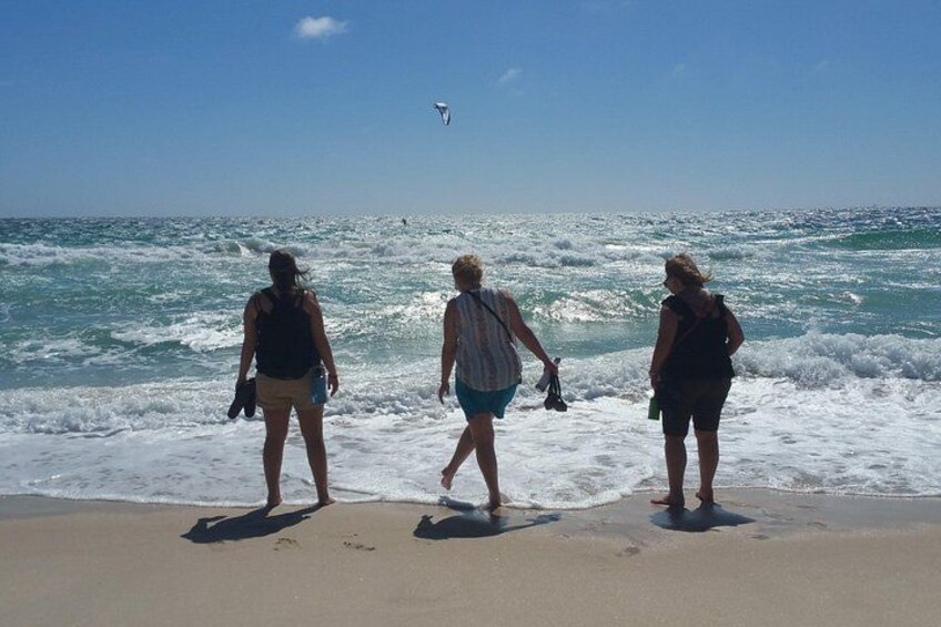 Perth Wildlife Park & City Highlights - Premium Small Group Tour 2