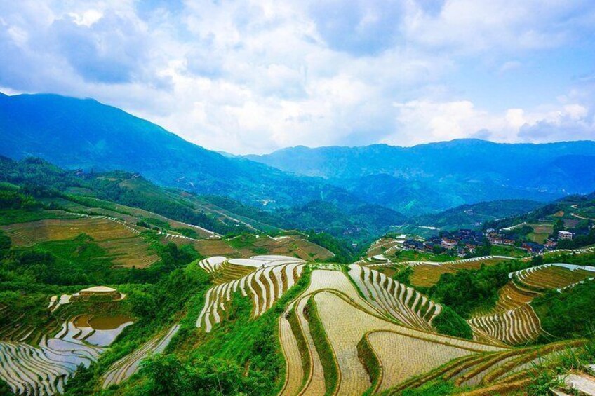 Longji Rice Terrace