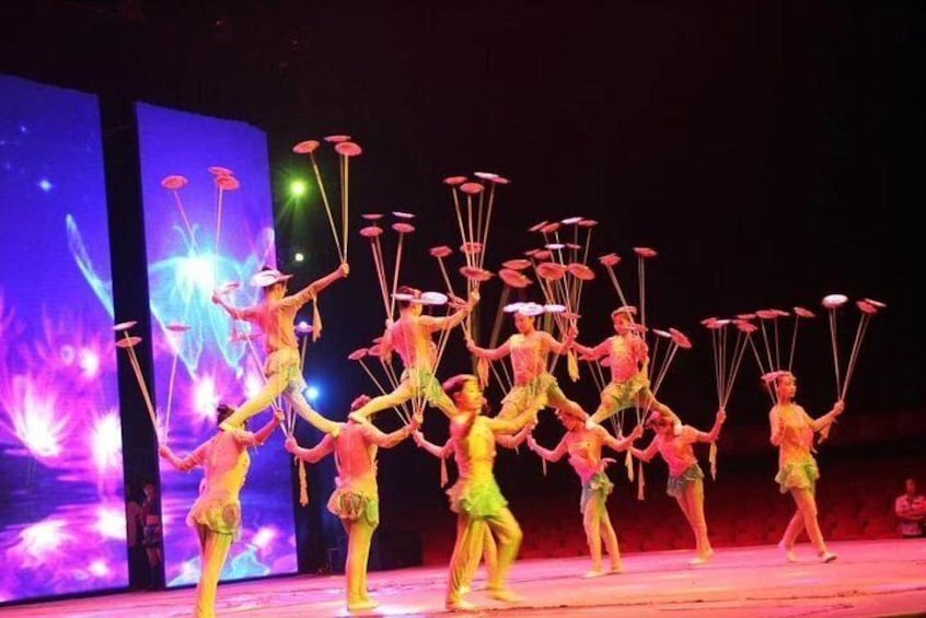 Private Beijing Night Tour: Acrobatic Show and Peking Duck Dinner