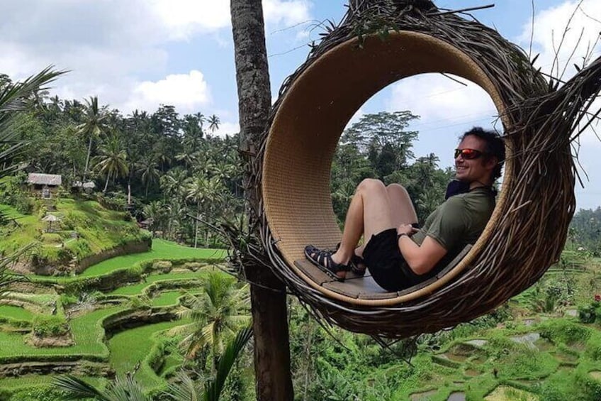 Tegalalang rice terraces